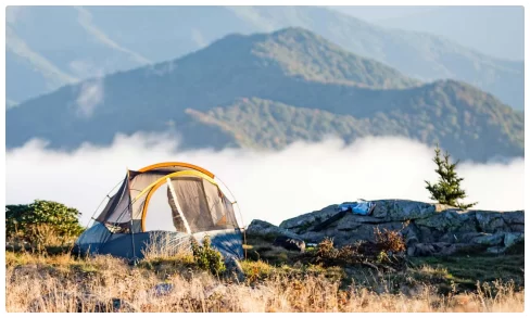 fleece jacket suppliers