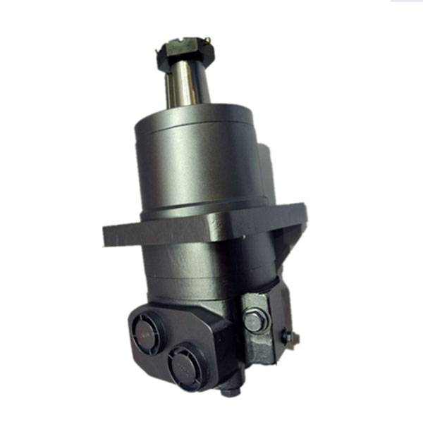 Competitive Hydraulic Wheel Motor Chinese Factory BM6 Wheel Motor