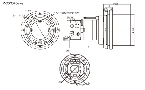 डब्ल्यूडीबी 300