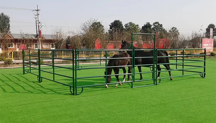 Oval Pipe Cattle Panel Fence for Cow Feeding