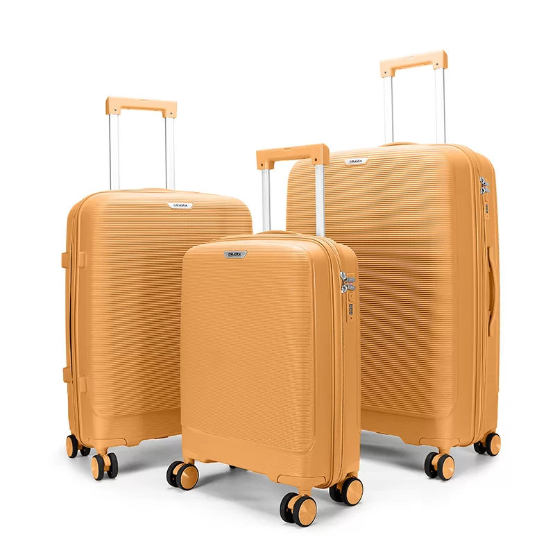 PP Luggage B0810