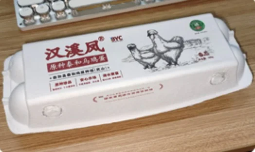 Egg Box Digital Printer