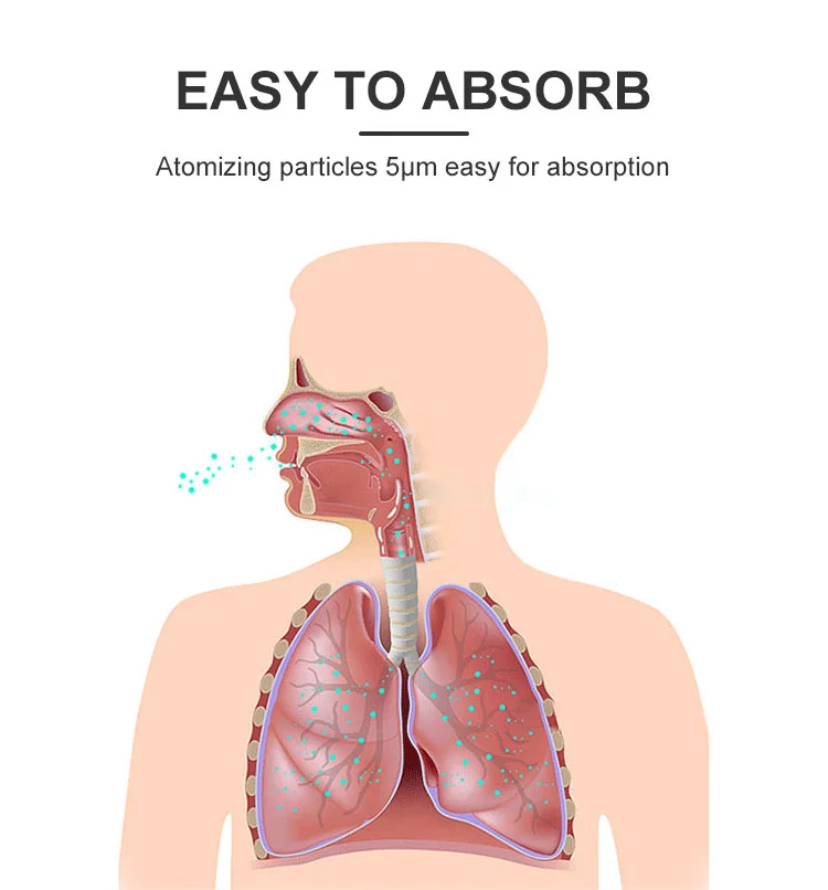 Desktop Compressor Nebulizer High Flow Medical Grade