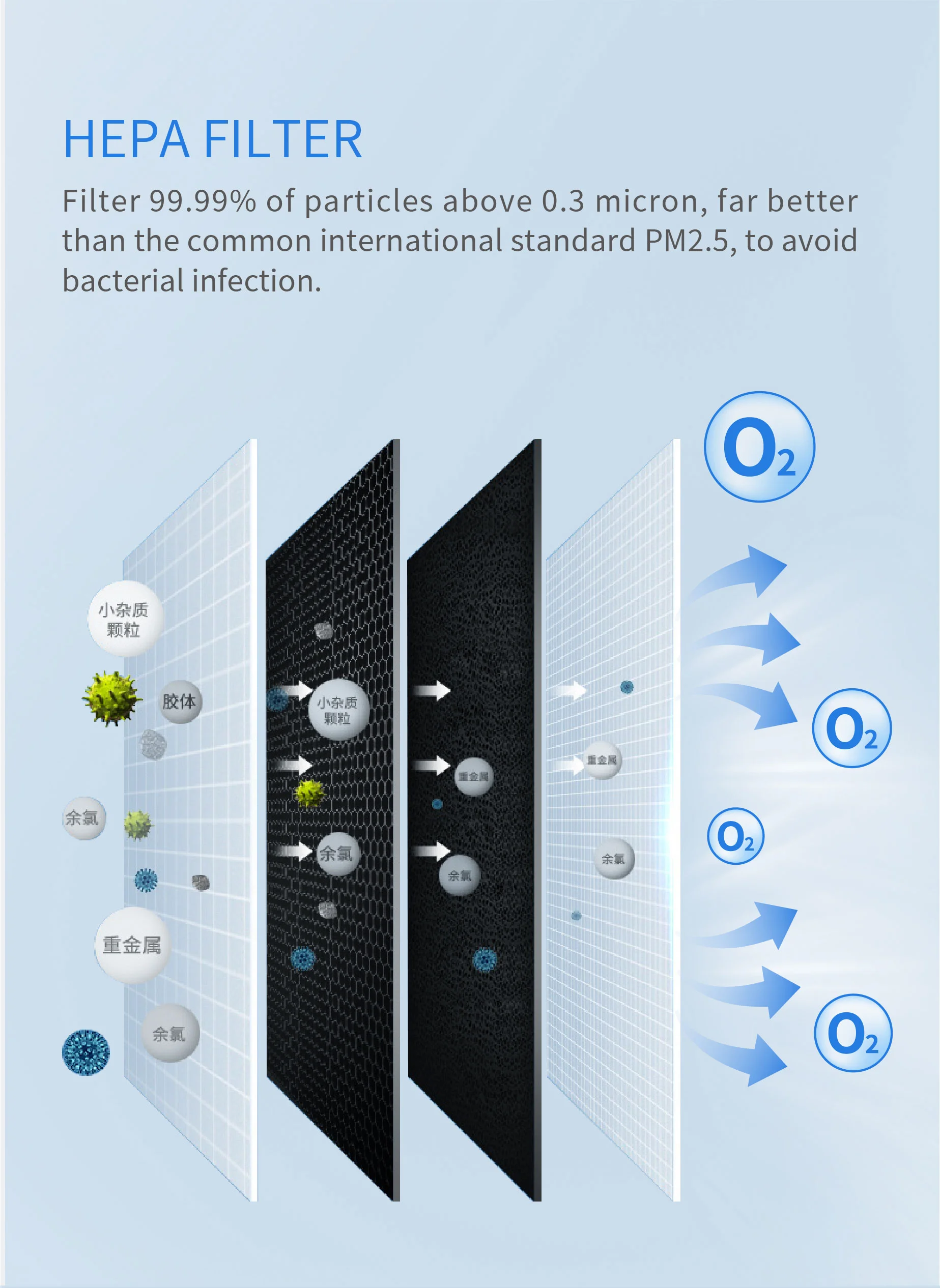 Medical Oxygen Concentrator 5L Adjustable Flow Low Noise