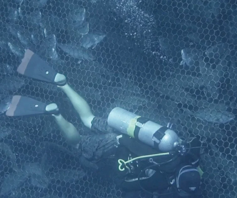  Polyester Fishing Net Material