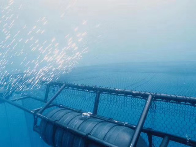 Polyester Hexagonal Fish Farming Net