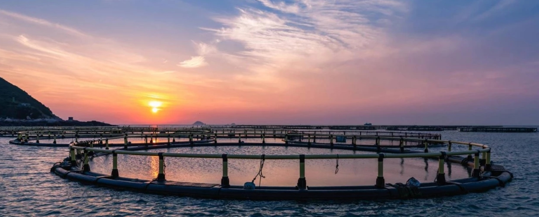 WeChat picture_20220210164958