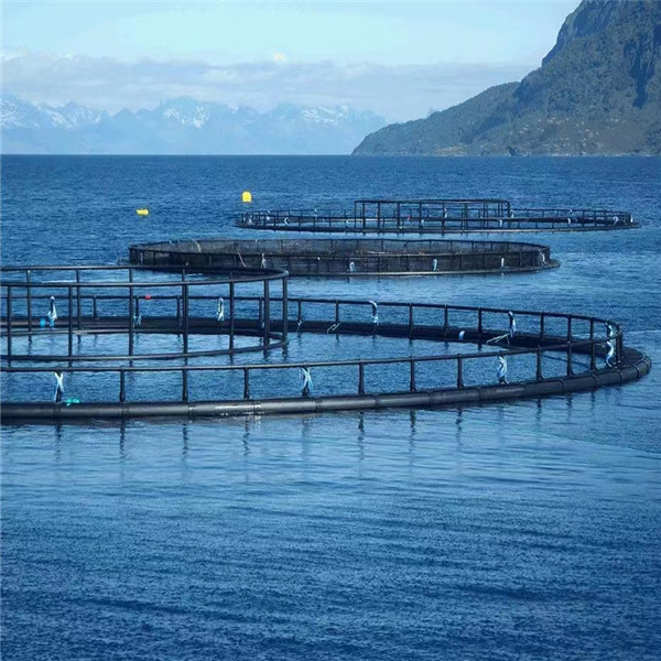 959ca8cddbe54a14788ff5dd4a8dc7c