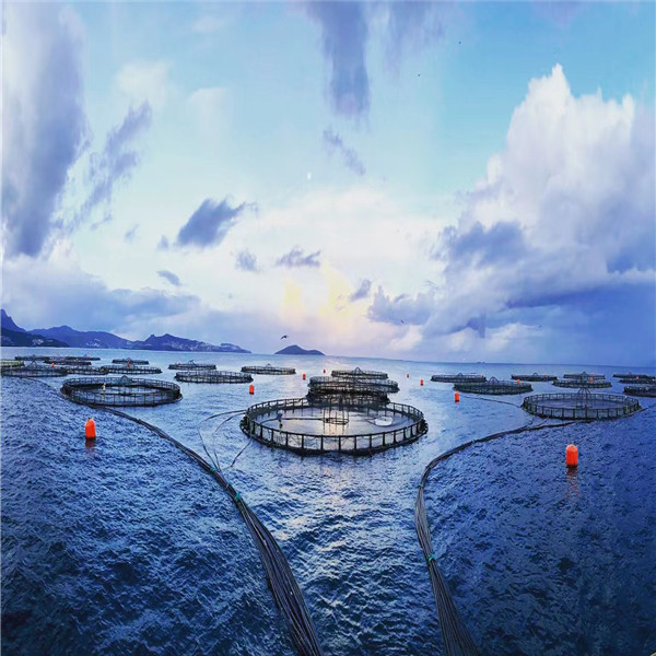 9fce1c39c9c764154df942d9f9a9c50