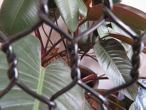 水産養殖用 PET マテリアルネッティング-main6