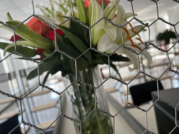 Hexagonal-Wire-Mesh-details2