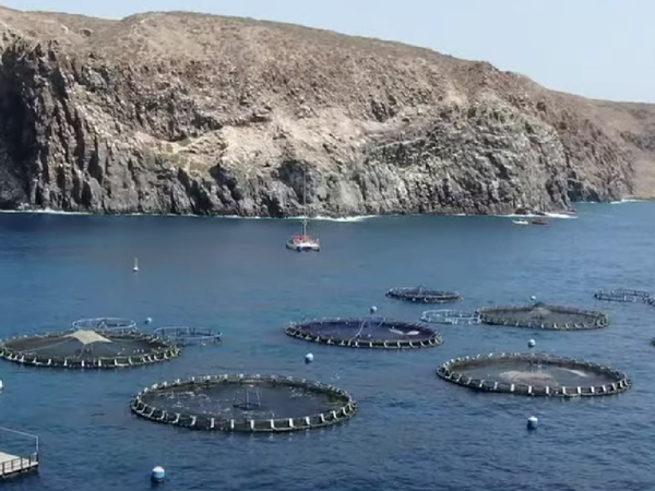 PET-material-Aquaculture-HGTO-KIKKONET-Nettings-DETAILS3