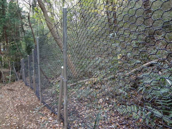 PET-material-Gabion-wire-mesh-details1