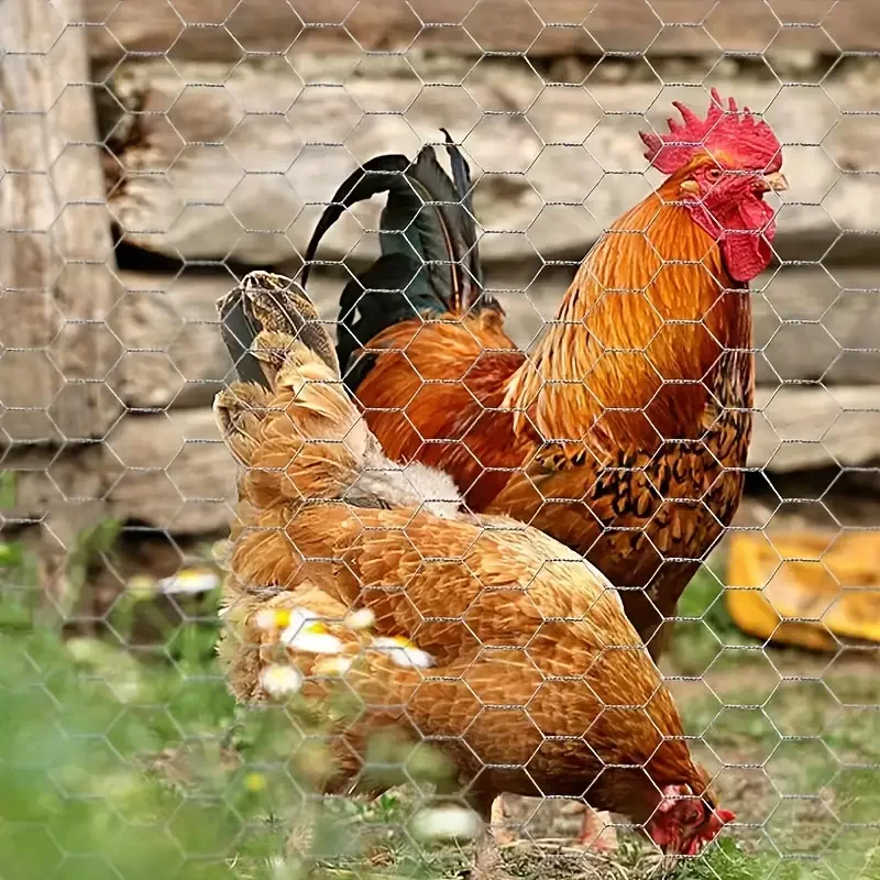 Hatszögletű háló (10)