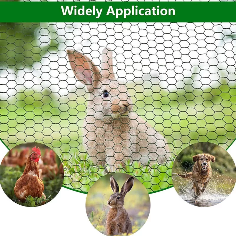 Hatszögletű háló (5)