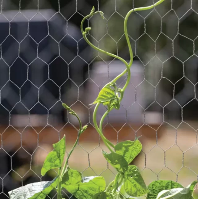Hatszögletű háló a mezőgazdaságban, a dekorációban és a kerítésben Hatszögletű háló a mezőgazdaságban, a dekorációban és a kerítésben