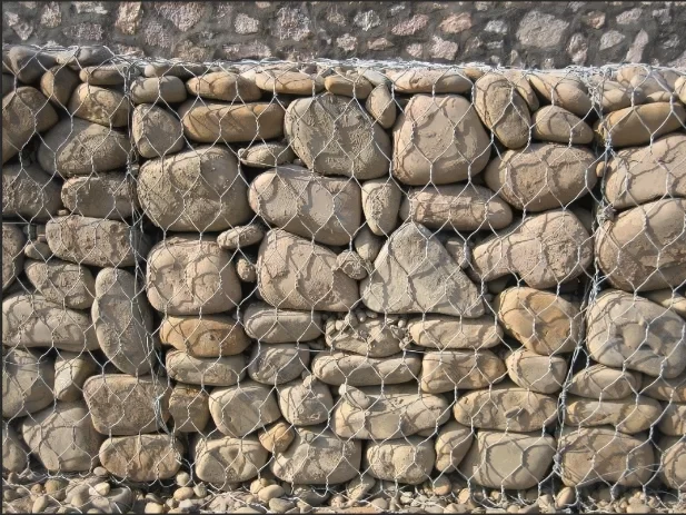 Draadgaas voor bescherming