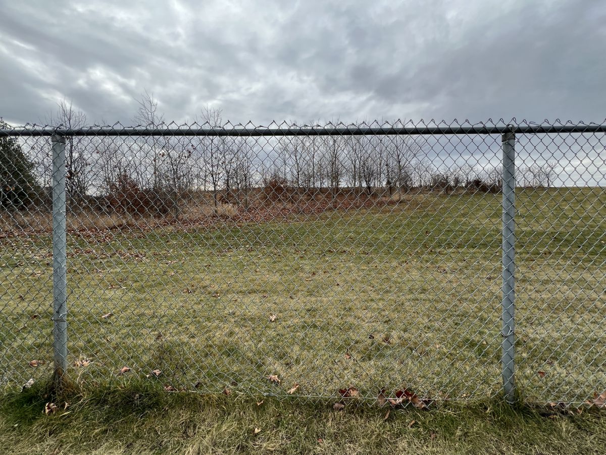 IMG_2930-845×31 (2)