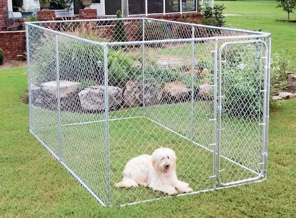 Chain Link Galvanized Steel Covered Dog Run Kennel