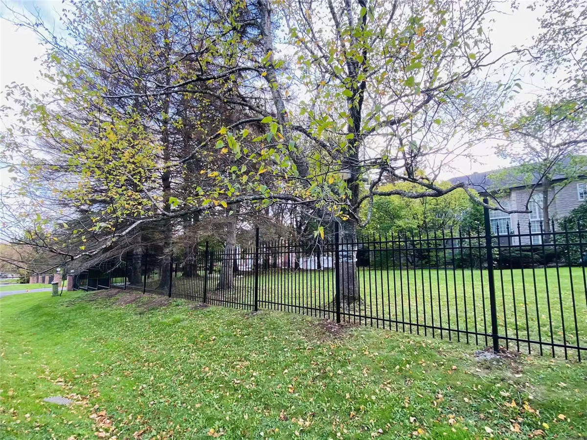 High Quality Ornamental Wrought Iron Steel Fence Panel1