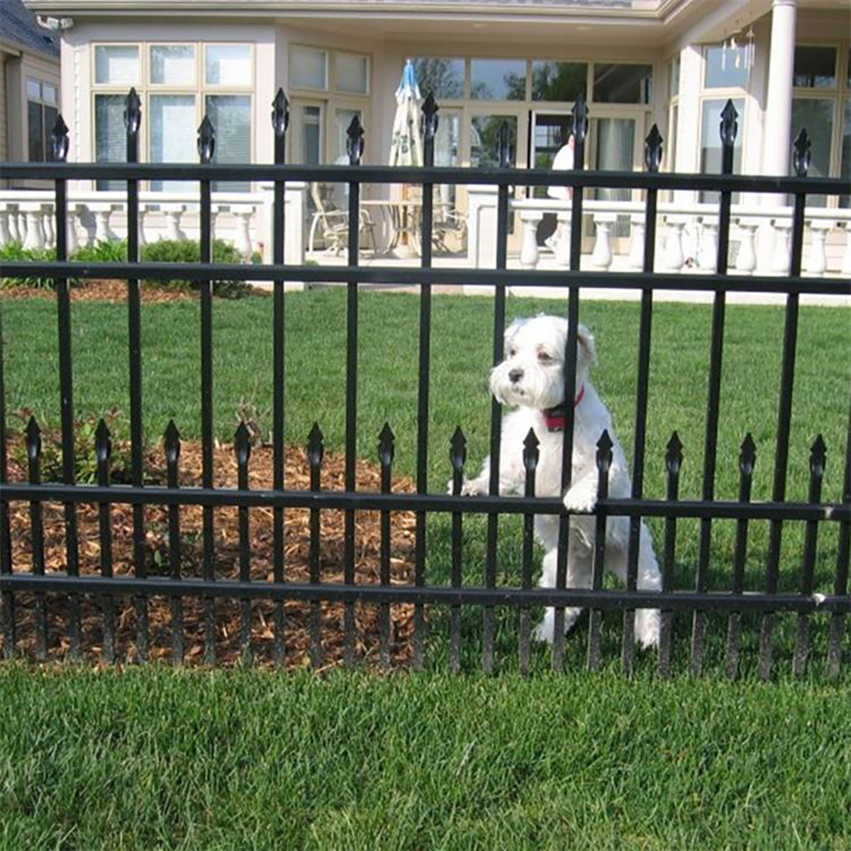 H0d9d62a5ff6843b9a624769782524d9dI