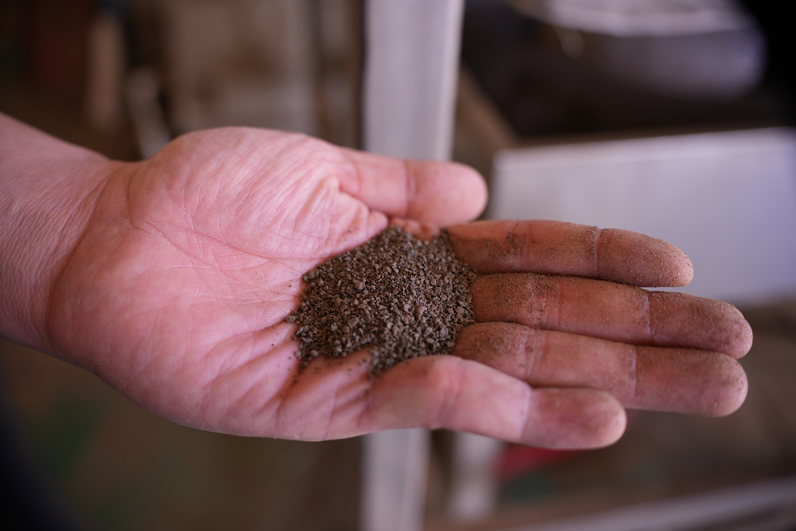 Evolving for Excellence2