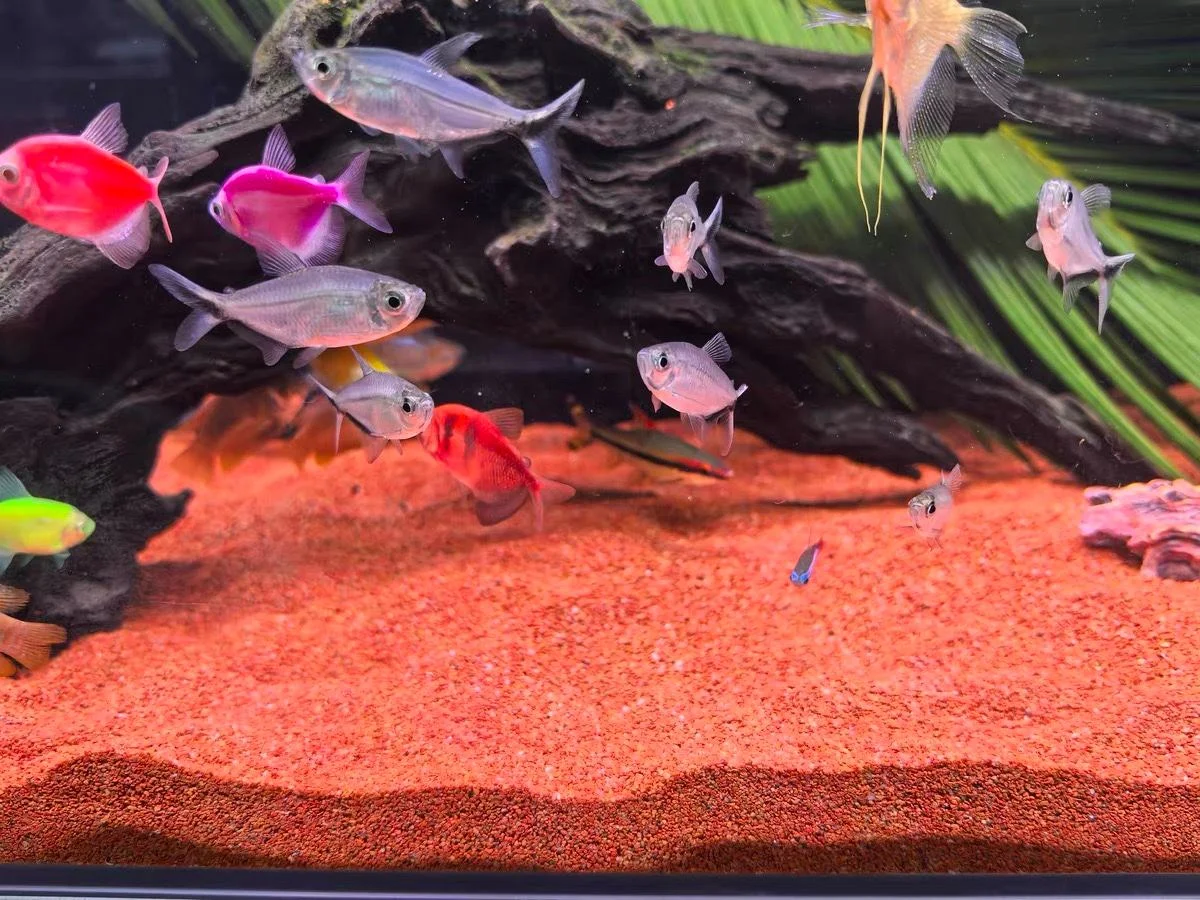 Natural Colored Sand