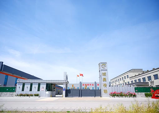 disc coupling manufacturers