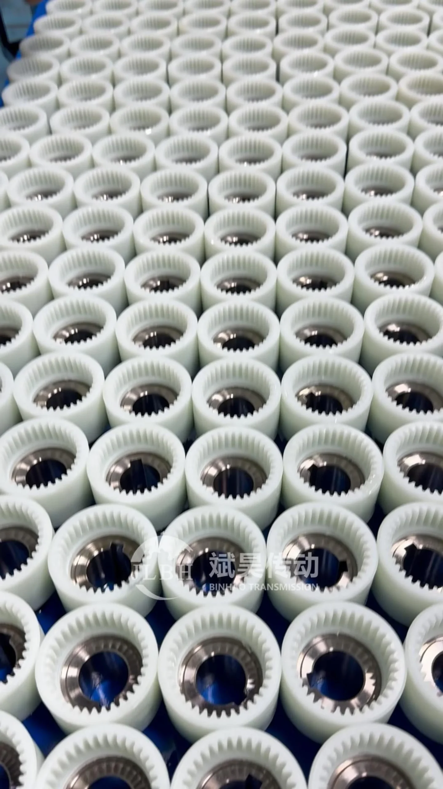 NL Type Toothed elastic coupling