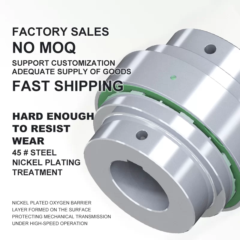 R-serie vervanging van elastomeerkoppeling Rexnord Falk Wrapflex