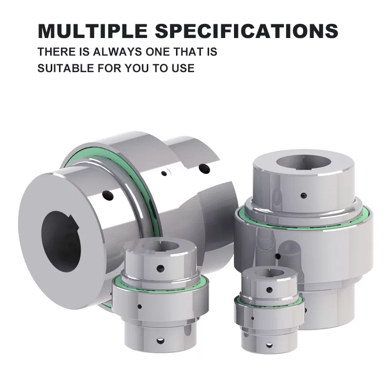 R-serie vervanging van elastomeerkoppeling Rexnord Falk Wrapflex