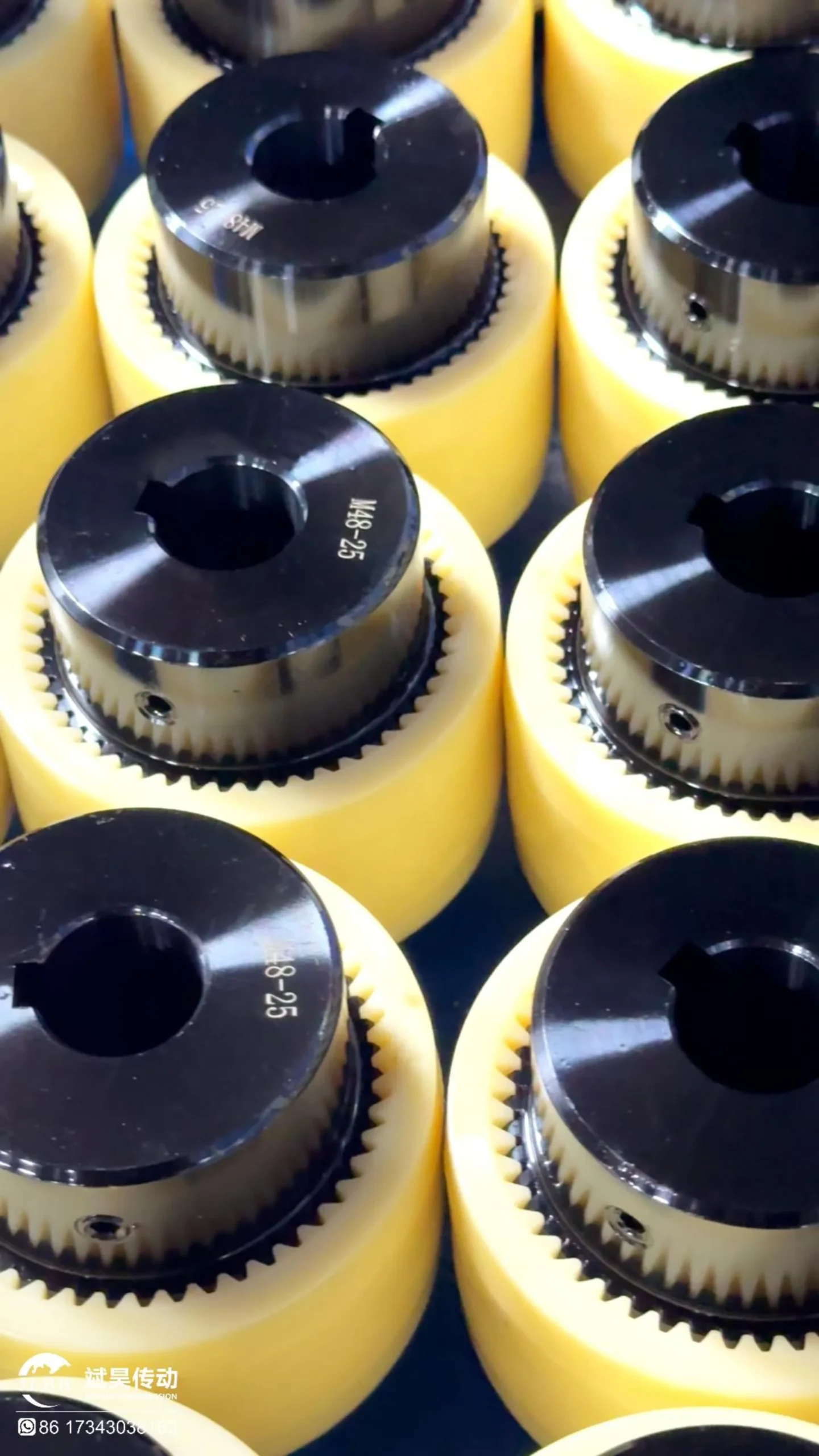 צימוד שן TGL מעוקל