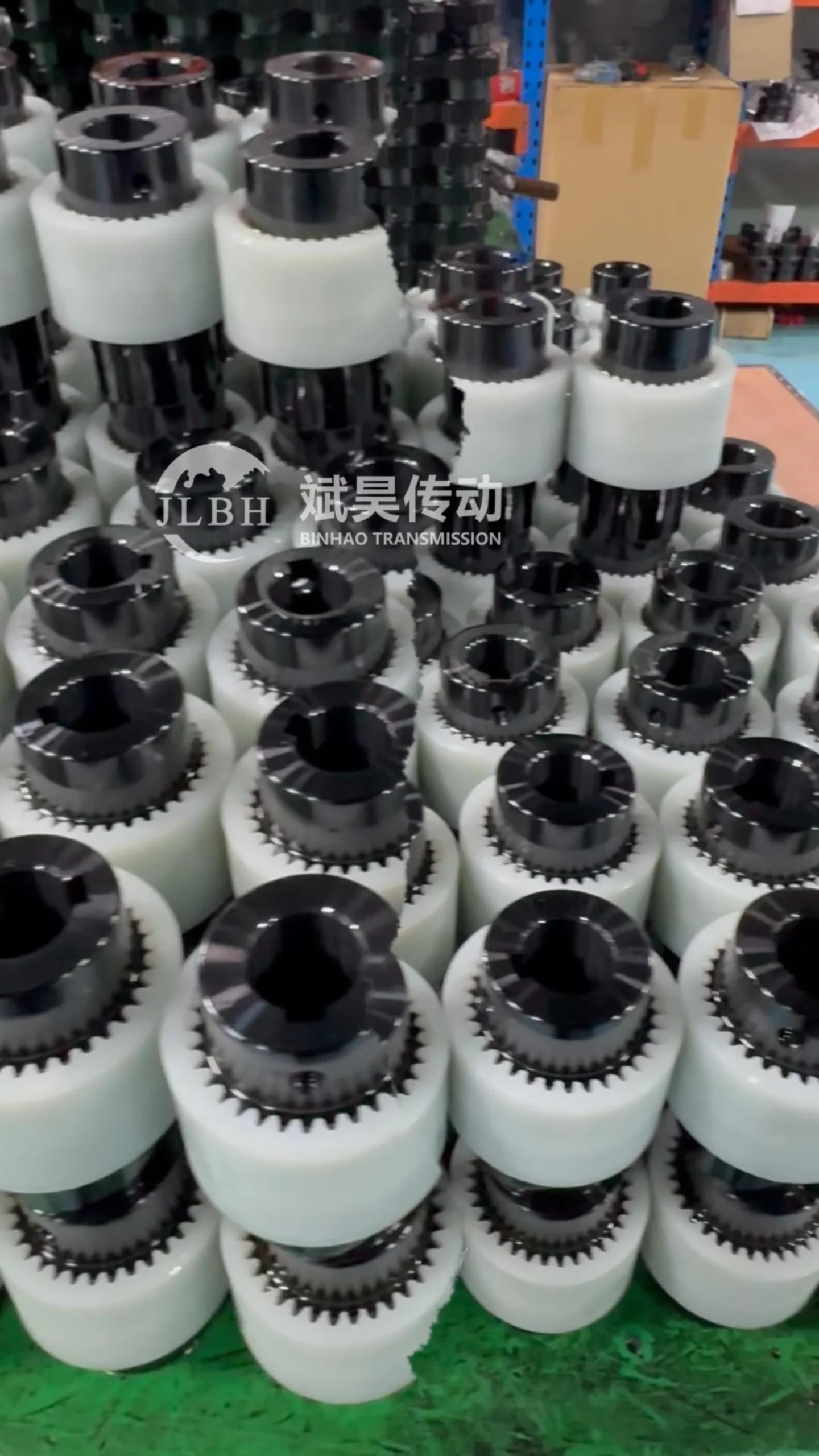 TGL Curved tooth coupling