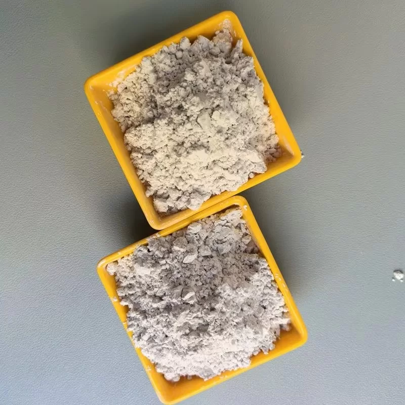 व्यापक रूप से प्रयुक्त डायटोमाइट पाउडर – बहुमुखी प्रतिभा वाला एक गैर-धात्विक खनिज