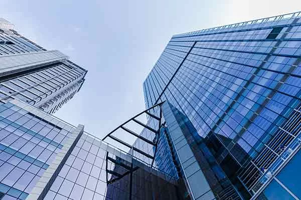 중간의약품 제조업체