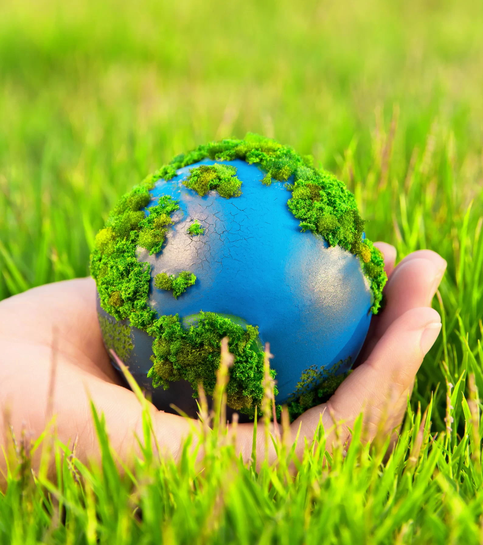 pharma intermediates