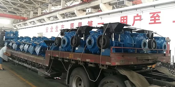 Heavy Duty Slurry Pumps