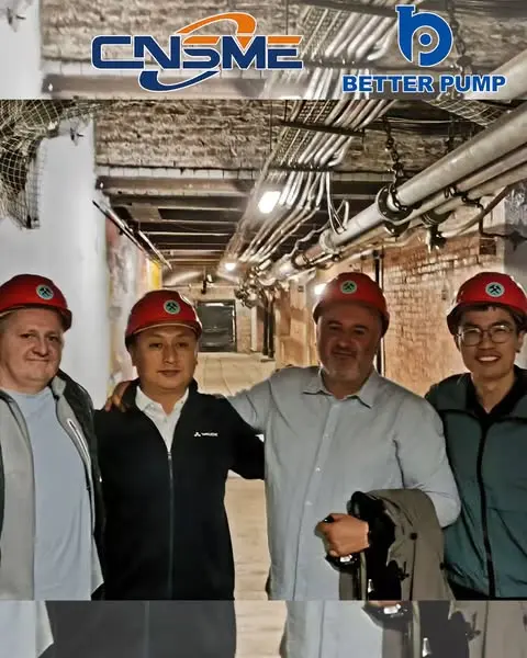 Why CNSME Slurry Pumps Are the Top Choice for Mineral Plants?