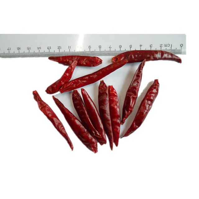 শুকনো মরিচ আনন্দের মাধ্যমে একটি যাত্রা