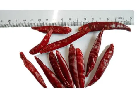 Kookrecepten met gedroogde paprika's te koop