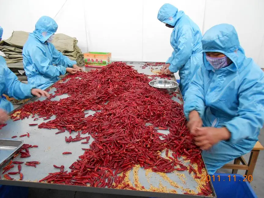 Подробнее о сушеном перце чили