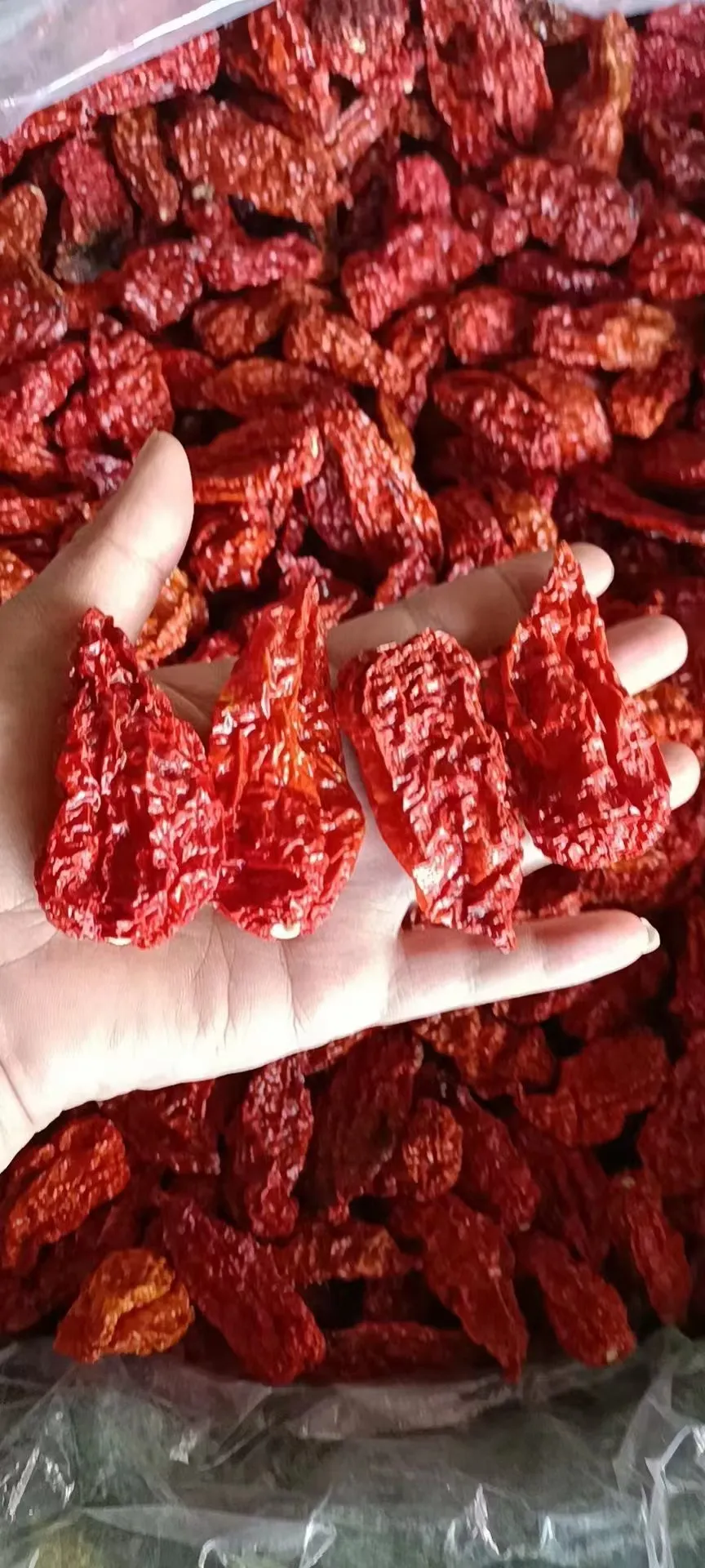 Rooxaan Chili Powder - Longyao County Xuri Food Co., Ltd. | Kuleylka Sare, Xaqiijinta Tayada