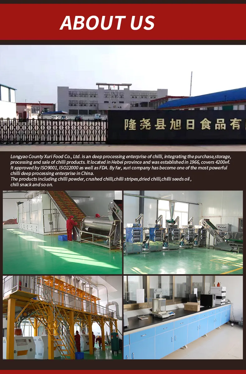 ผงพริกผี: ความร้อนและคุณภาพที่ไม่มีใครเทียบได้ | หลงเหยาเคาน์ตี้ XURI FOOD CO.,LTD.