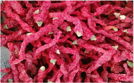 การตัดสินคุณภาพพริกไทย: ความเผ็ด สี ความมัน คุณค่าทางโภชนาการ ผลผลิต