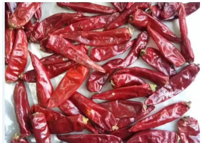 L'origen dels pebrots