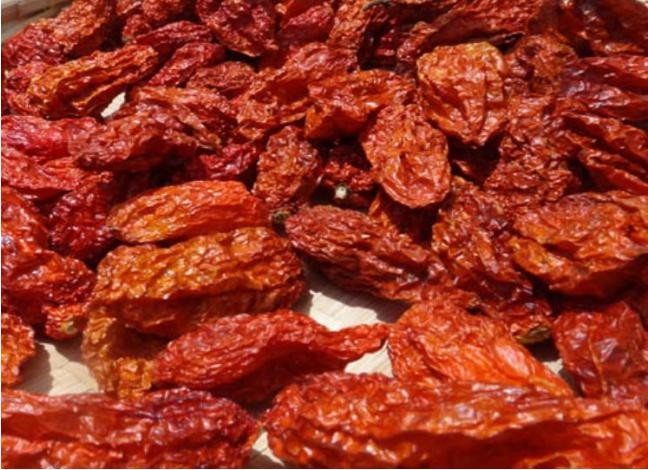 L'origen dels pebrots