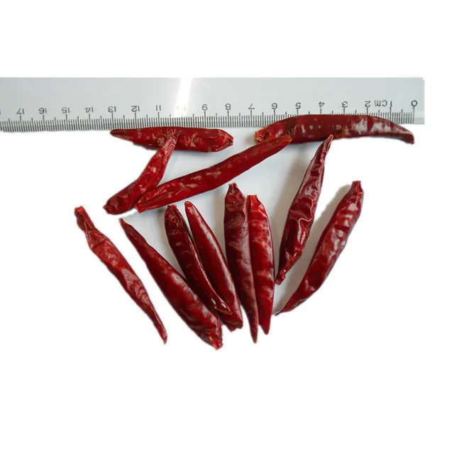 Il-Delight Pikkanti tal-Miżwed tal-Bżar Aħmar