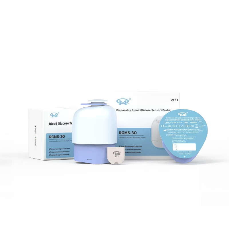 Continuous Glucose Monitoring System RGMS-3O