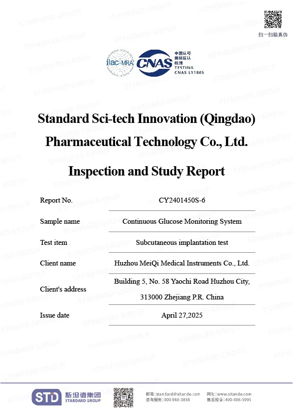 glucose monitoring system flash