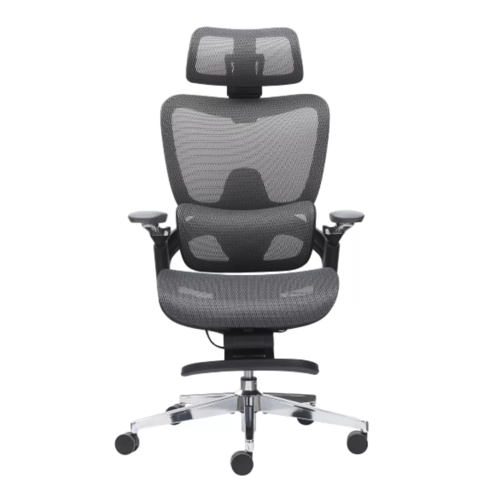 Ergonomic Office Chair